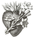 heart-chaste-small.png